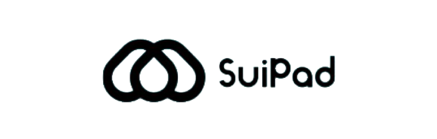 contract security audit